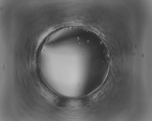 X0000064040248200601301156