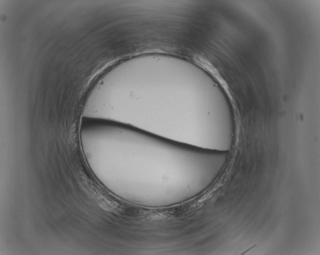 X0000064040249200601301156