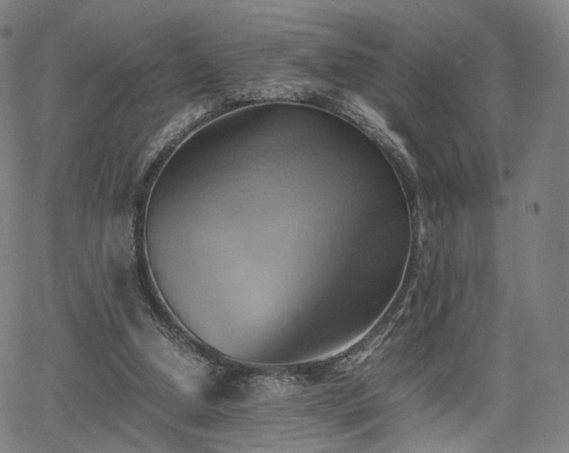 X0000064040250200601301156