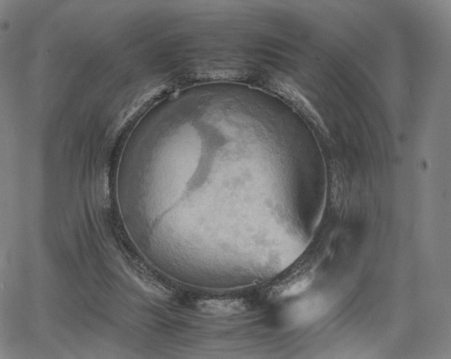 X0000064040251200601301156