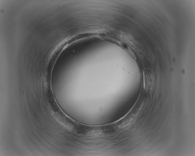 X0000064040252200601301156