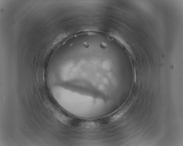 X0000064040253200601301156