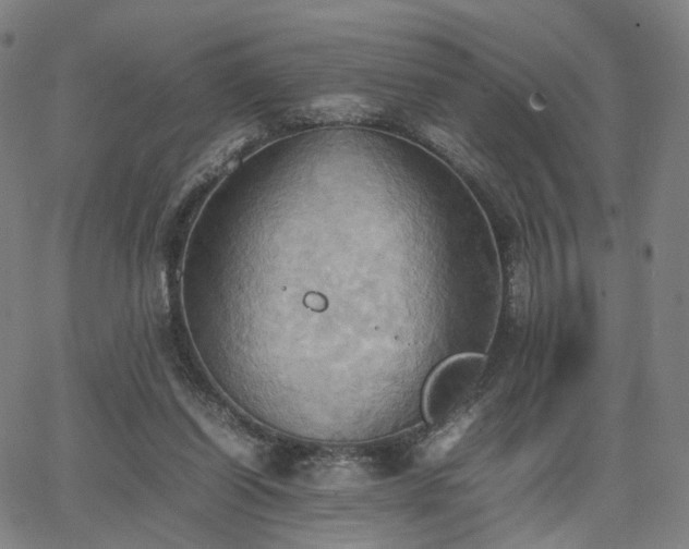 X0000064040254200601301156