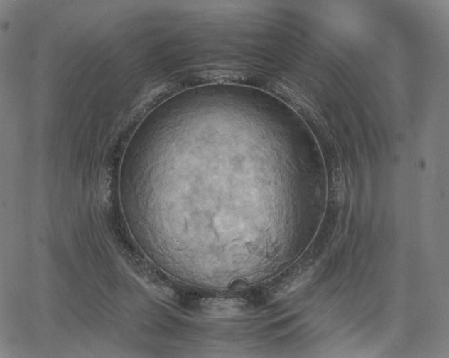 X0000064040255200601301156