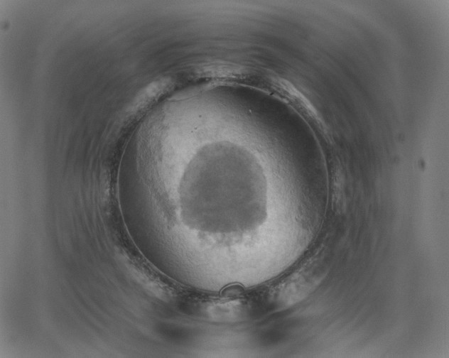 X0000064040257200601301156