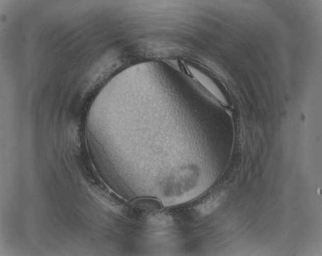 X0000064040258200601301156