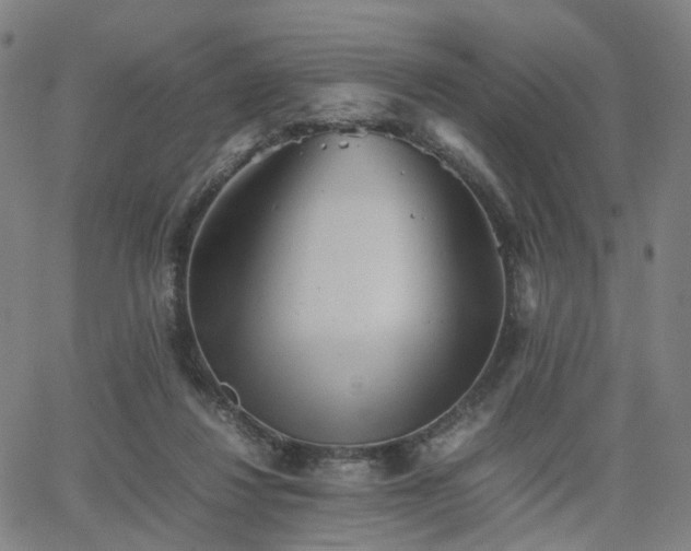 X0000064040260200601301156