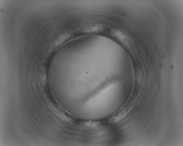 X0000064040261200601301156