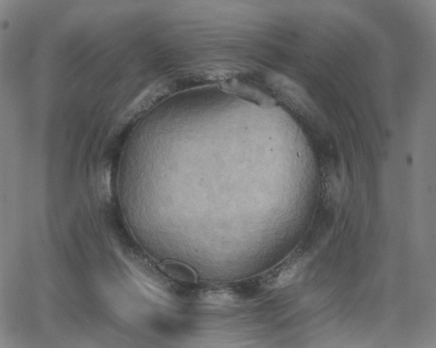 X0000064040262200601301156