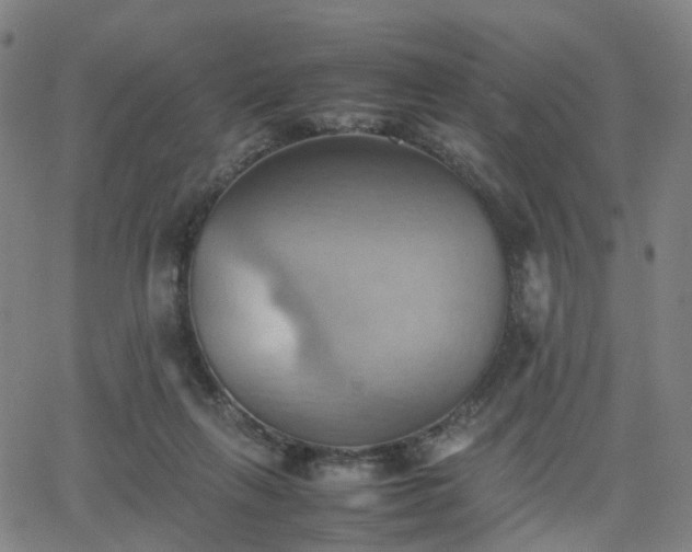 X0000064040263200601301156