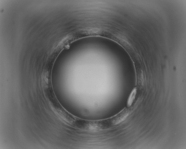 X0000064040264200601301156