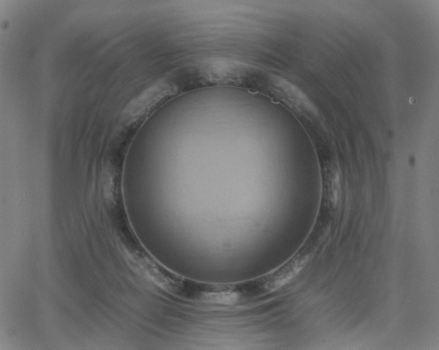 X0000064040266200601301156