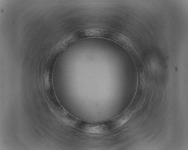 X0000064040267200601301156