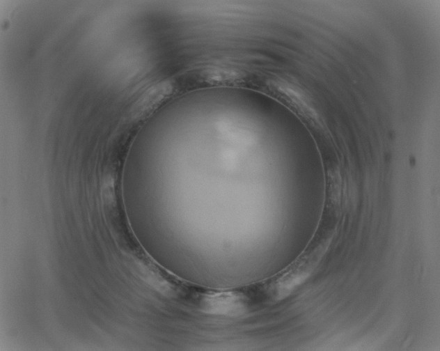 X0000064040269200601301156