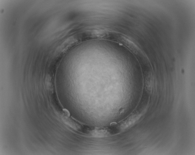 X0000064040270200601301156