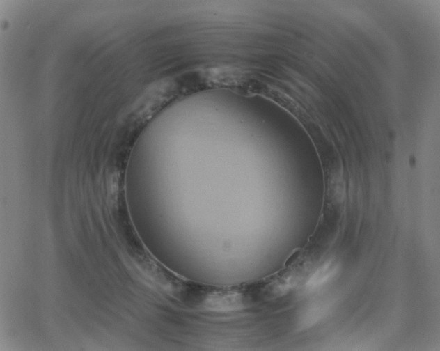 X0000064040271200601301156