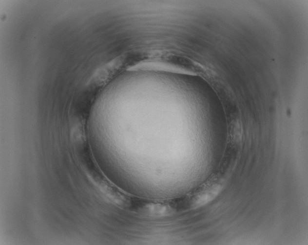 X0000064040272200601301156