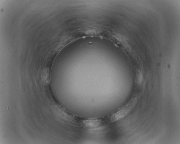 X0000064040273200601301156