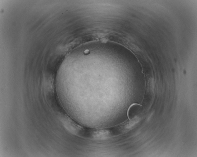 X0000064040274200601301156