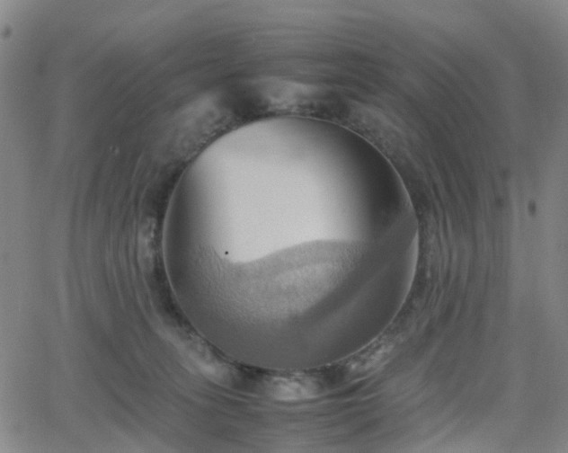 X0000064040275200601301156