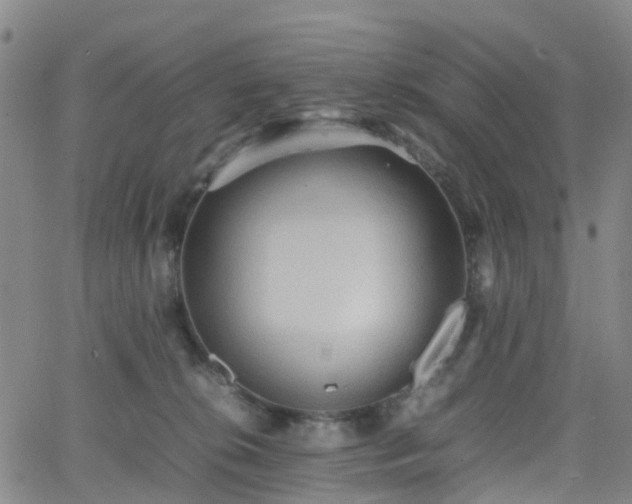 X0000064040276200601301156