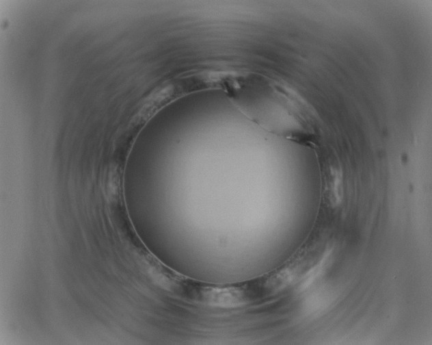 X0000064040277200601301156