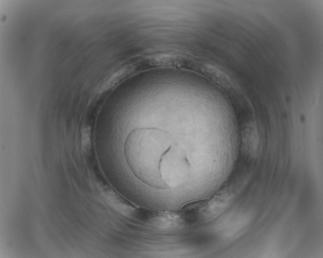 X0000064040278200601301156