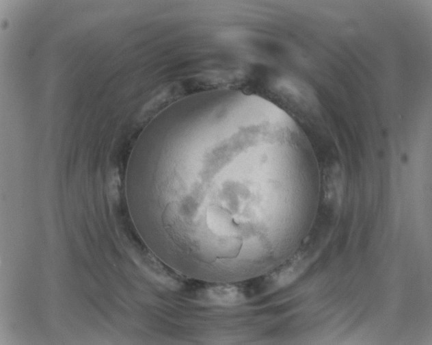 X0000064040279200601301156