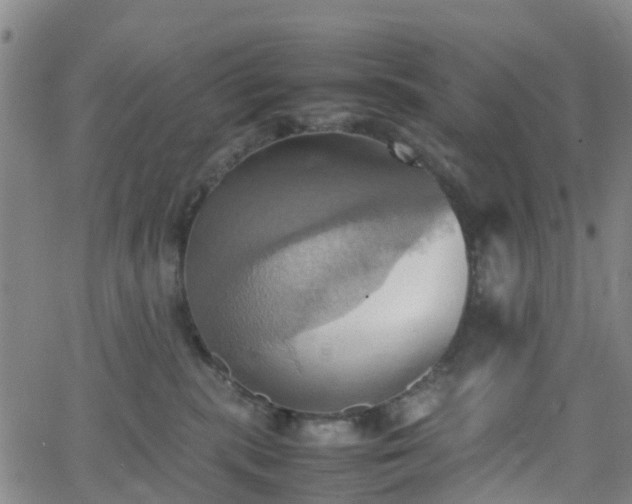 X0000064040283200601301156