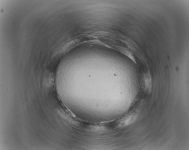 X0000064040284200601301156