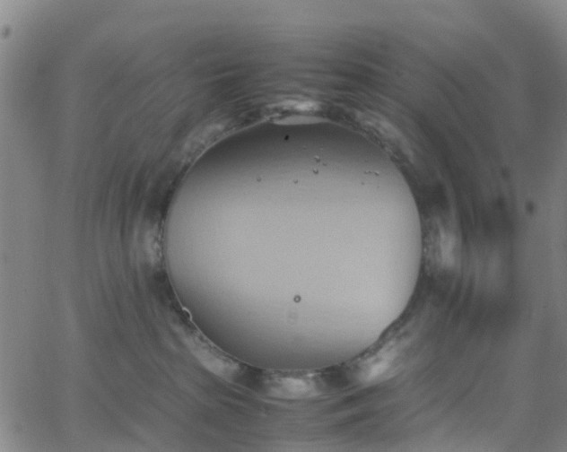 X0000064040285200601301156