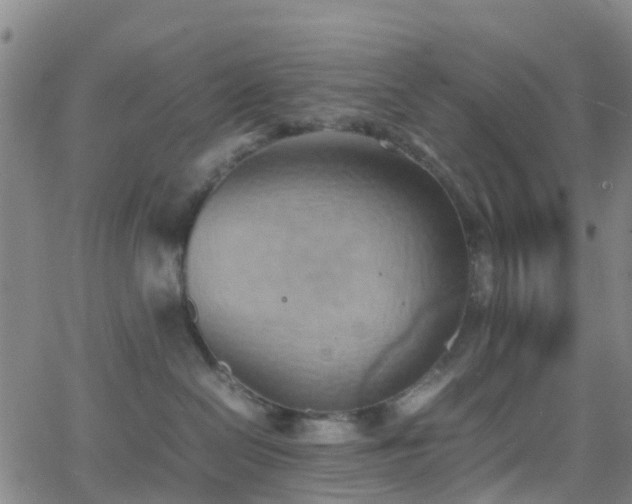 X0000064040286200601301156