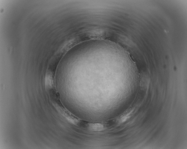 X0000064040287200601301156