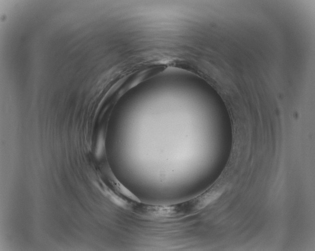 X0000064040288200601301156