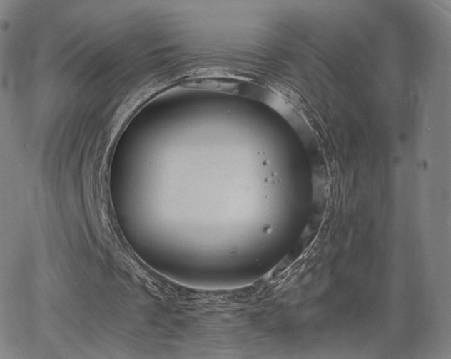 X0000064040289200601301155