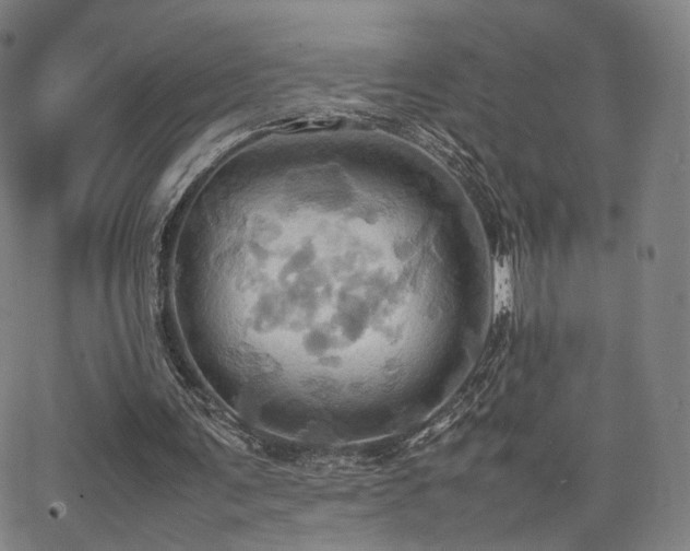 X0000064040291200601301155