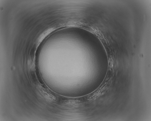 X0000064040292200601301155