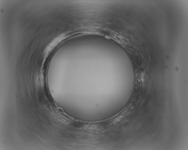 X0000064040294200601301155