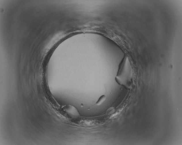 X0000064040295200601301155