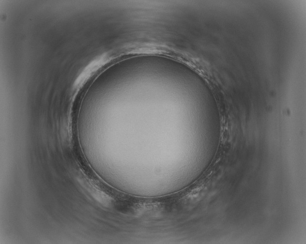 X0000064040296200601301155