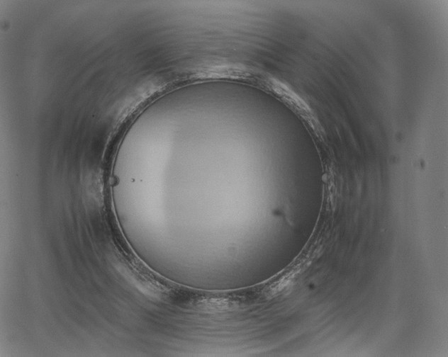 X0000064040298200601301155