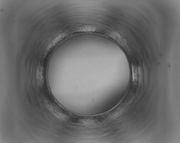 X0000064040300200601301155