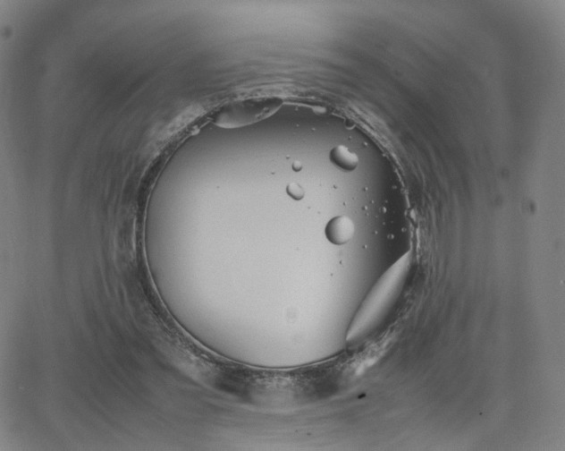 X0000064040301200601301155