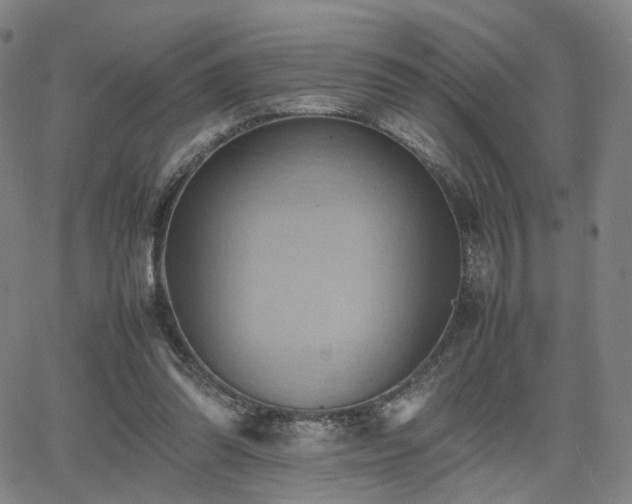 X0000064040302200601301155