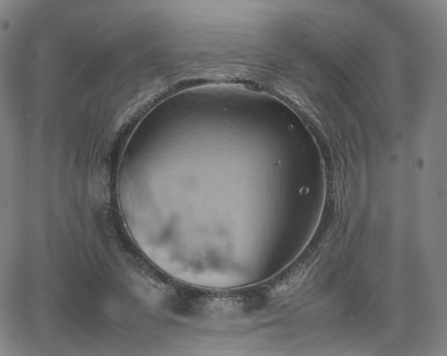 X0000064040303200601301155