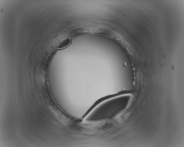 X0000064040305200601301155