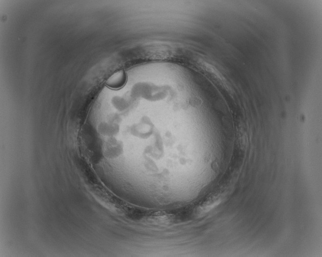 X0000064040307200601301155