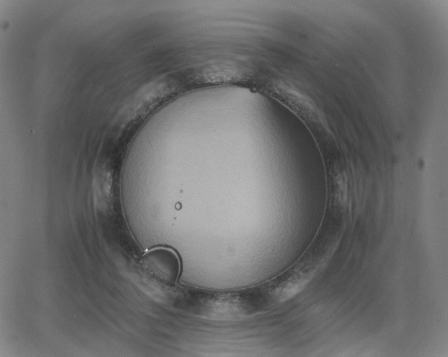 X0000064040308200601301155