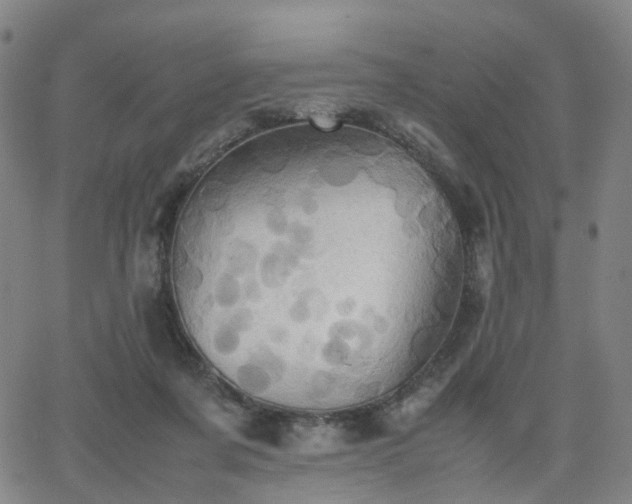 X0000064040311200601301155