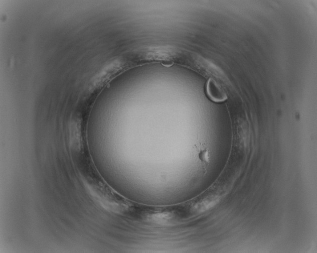 X0000064040312200601301155